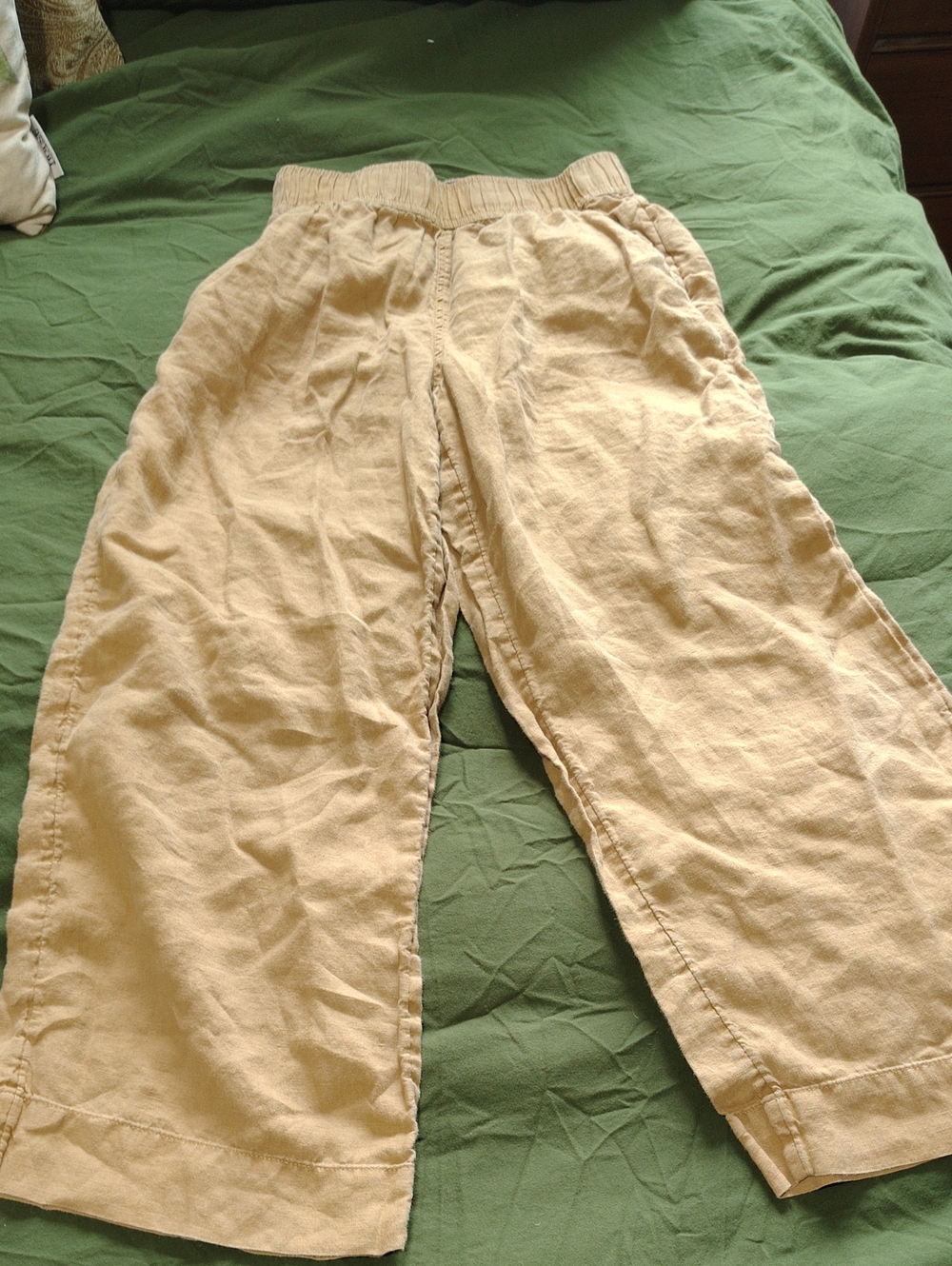 Tahari Tan 100% Linen Pants